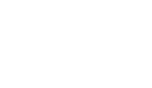 Synthetic Turf Council